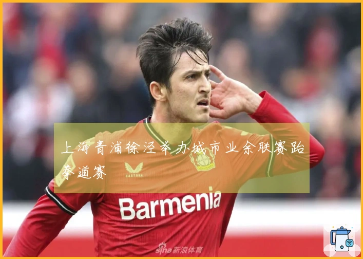 上海青浦徐泾举办城市业余联赛跆拳道赛