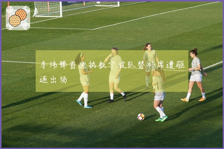 李玮锋首次执教宁波队替补席遭驱逐出场