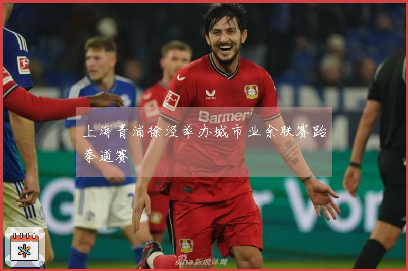 上海青浦徐泾举办城市业余联赛跆拳道赛